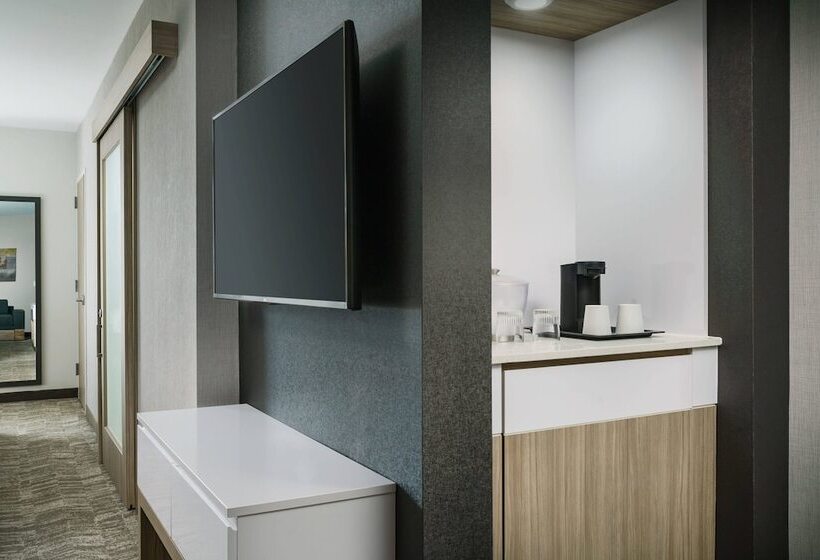 ホテル Springhill Suites By Marriott Philadelphia West Chester/exton