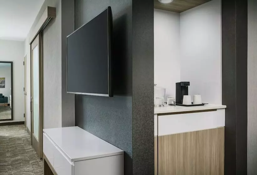 ホテル Springhill Suites By Marriott Philadelphia West Chester/exton