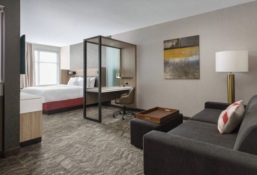 ホテル Springhill Suites By Marriott Philadelphia West Chester/exton