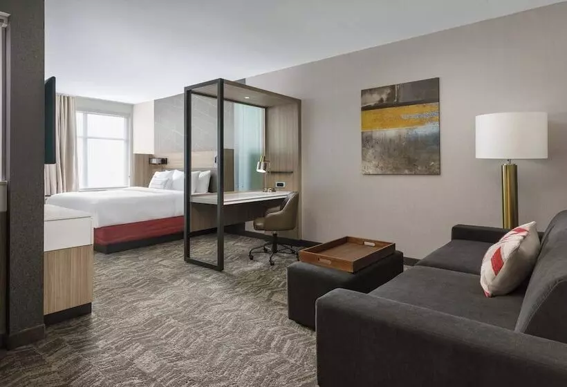 ホテル Springhill Suites By Marriott Philadelphia West Chester/exton