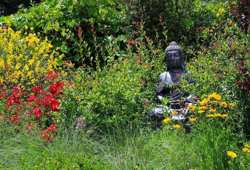 Resort El Carmelo Mountain Lodge