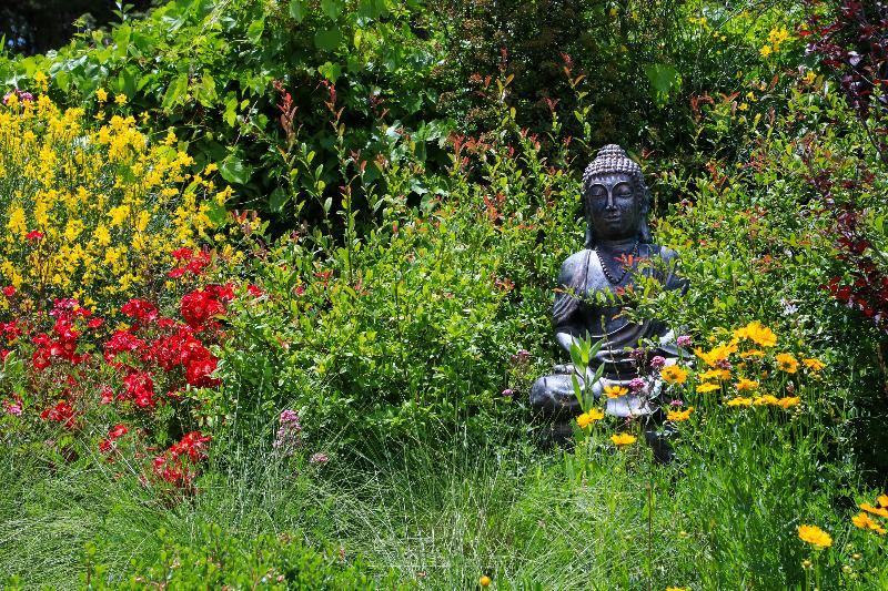 Resort El Carmelo Mountain Lodge