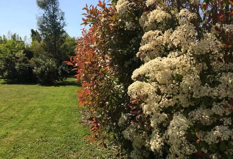 Aamiaismajoitus (B&B) La Villa Bolero