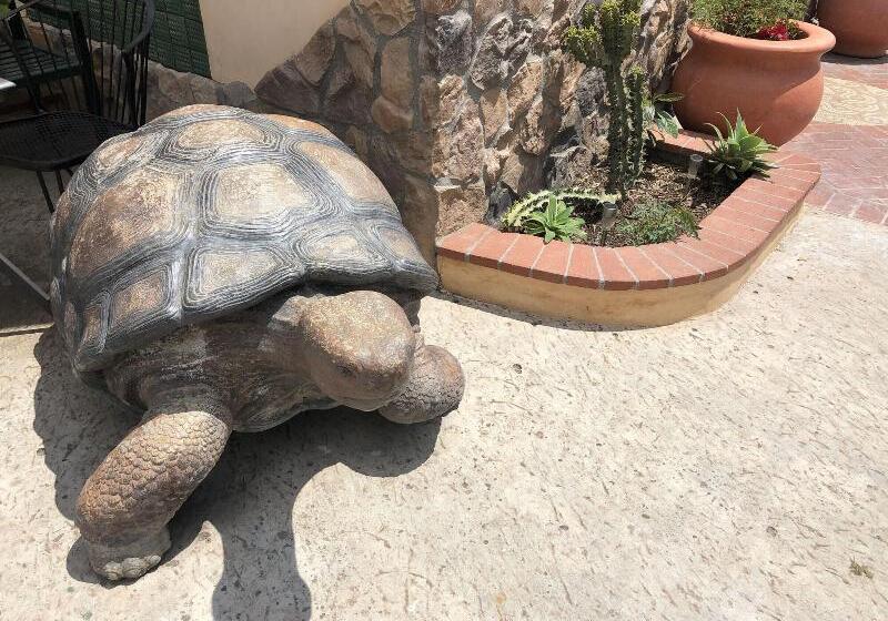 ユースホステル Casa Del Sol