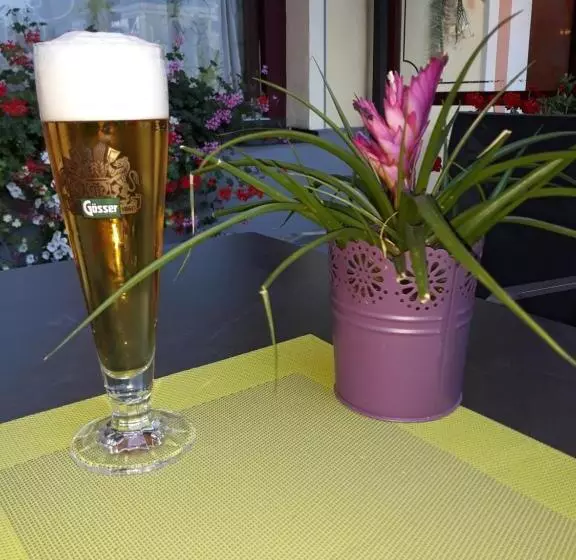 Dolomitenhotel Lienz