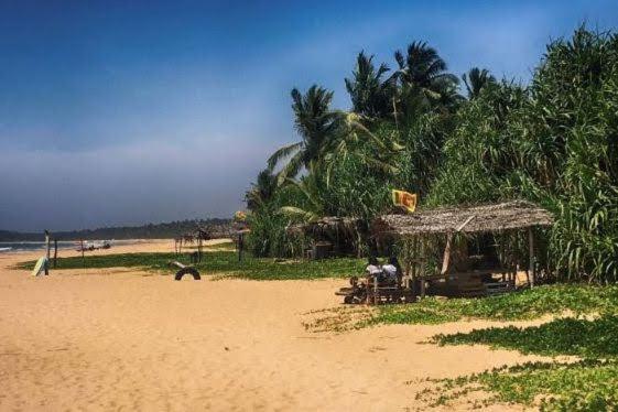 膳宿费 La Perla Bentota