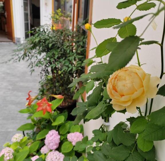 膳宿费 Zhangjiajie Tingyutang Little Yard