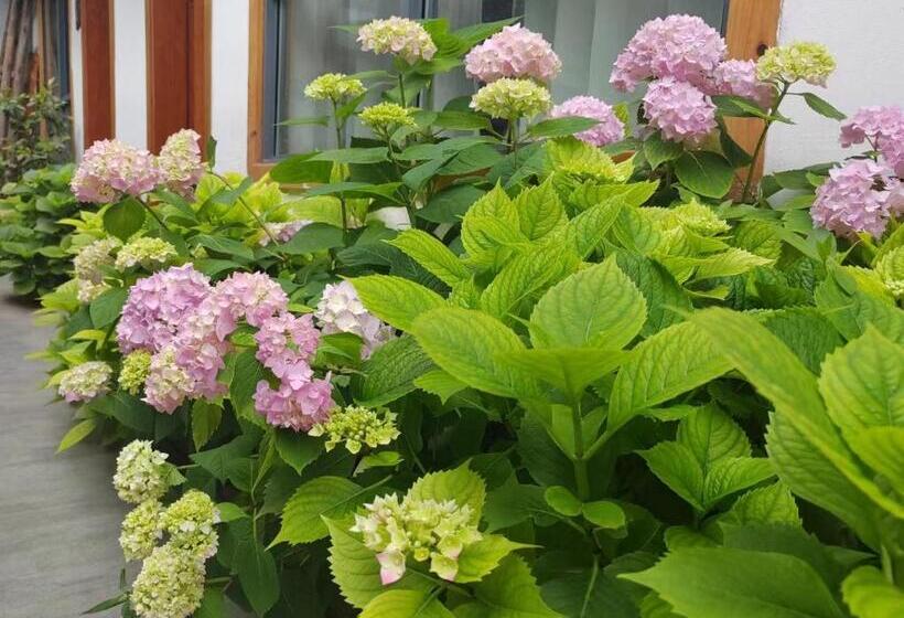 膳宿费 Zhangjiajie Tingyutang Little Yard