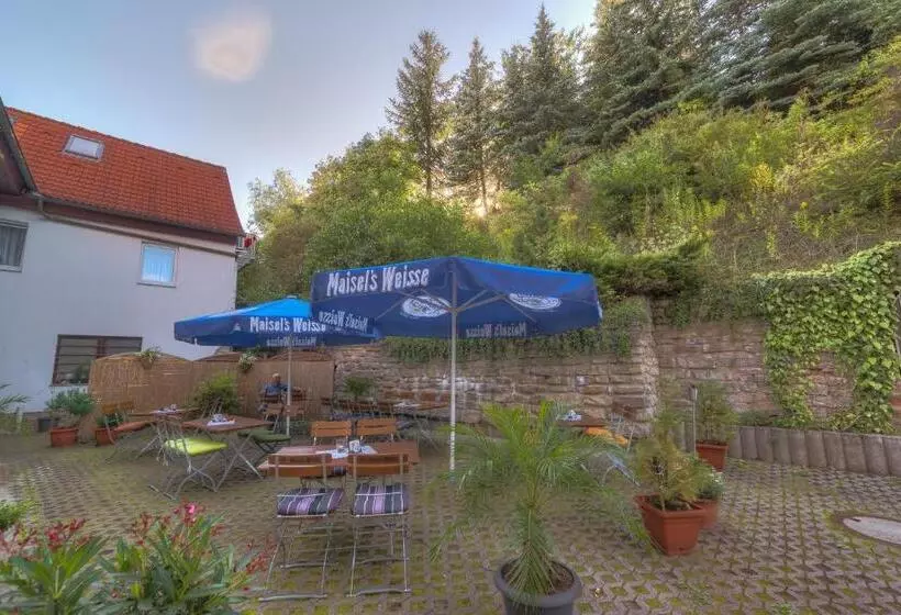 Hotelli Pension & Gaststätte Alter König