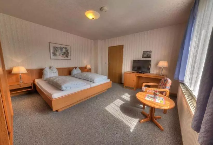 Hotelli Pension & Gaststätte Alter König