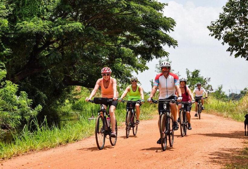 酒店 Tara Watergate