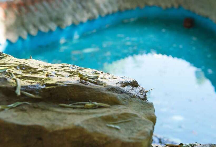 Отель Torre Barcelona