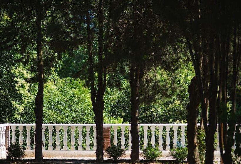 Отель Torre Barcelona