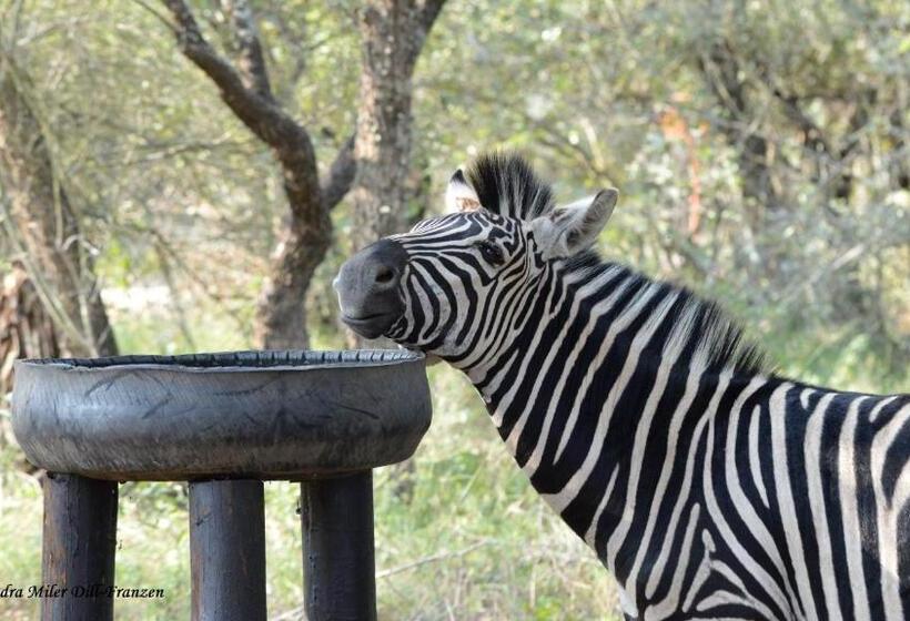Ubuntu Bed And Breakfast