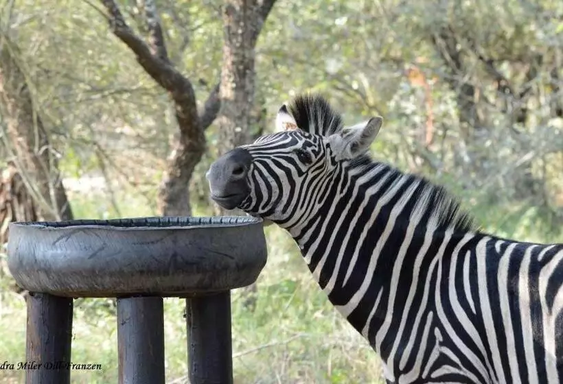 Ubuntu Bed And Breakfast