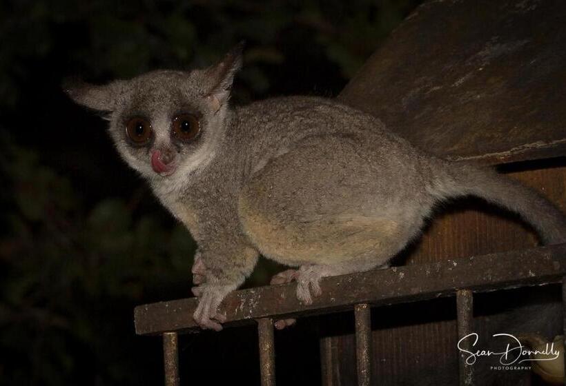 Ubuntu Bed And Breakfast