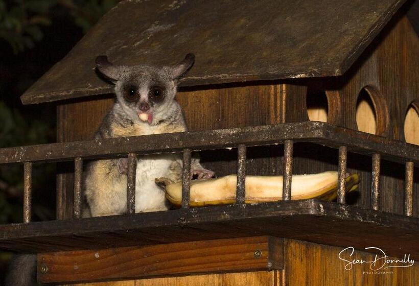 Ubuntu Bed And Breakfast