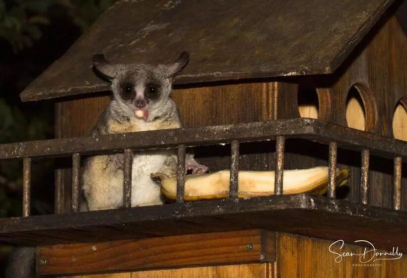 Ubuntu Bed And Breakfast