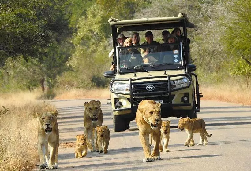 Ubuntu Bed And Breakfast