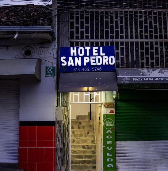 酒店 San Pedro