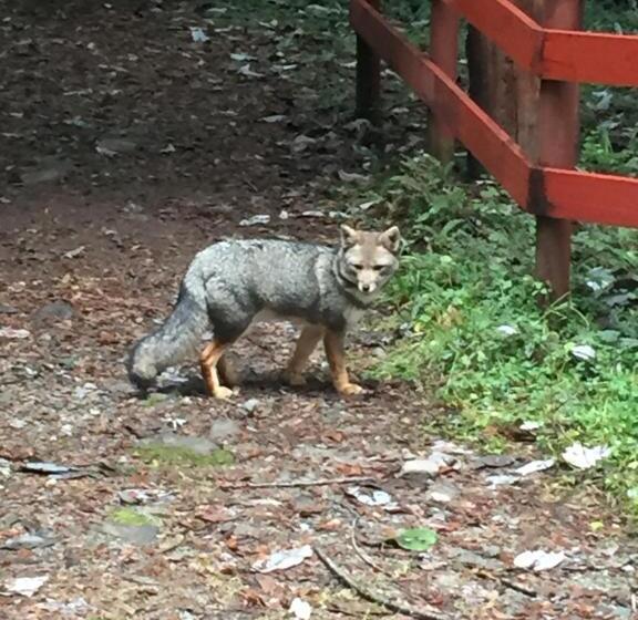 هاستل Cabañas Estrella Del Sur