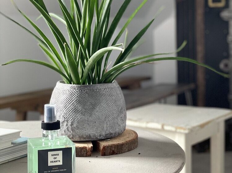 The Hearts Hotel Boutique Und Event Resort