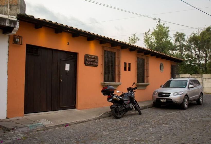 هتل Palma De Mallorca