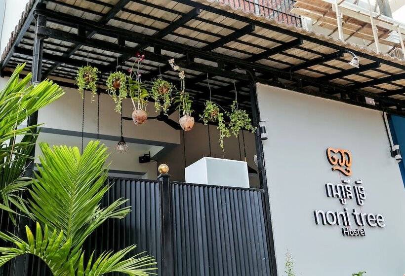 Noni Tree Hostel
