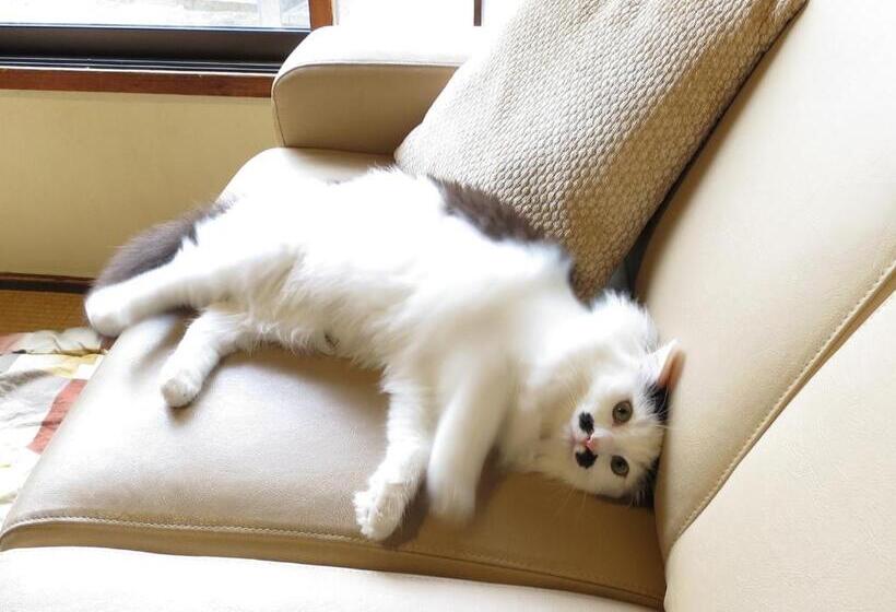 بنسيون Guest House Roji To Akari