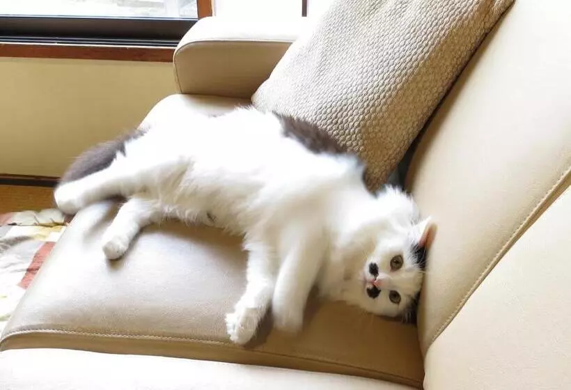 Majatalo Guest House Roji To Akari