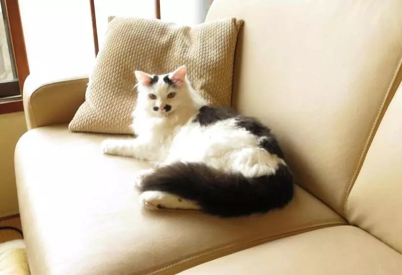 Majatalo Guest House Roji To Akari