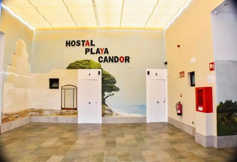 ペンション Hostal Playa Candor