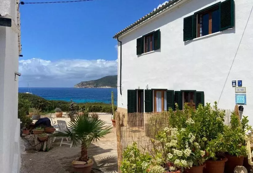 Puntblanc Residences