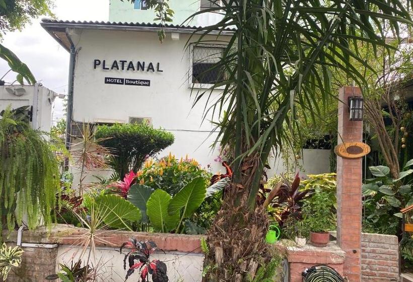 הוסטל Boutique Platanal