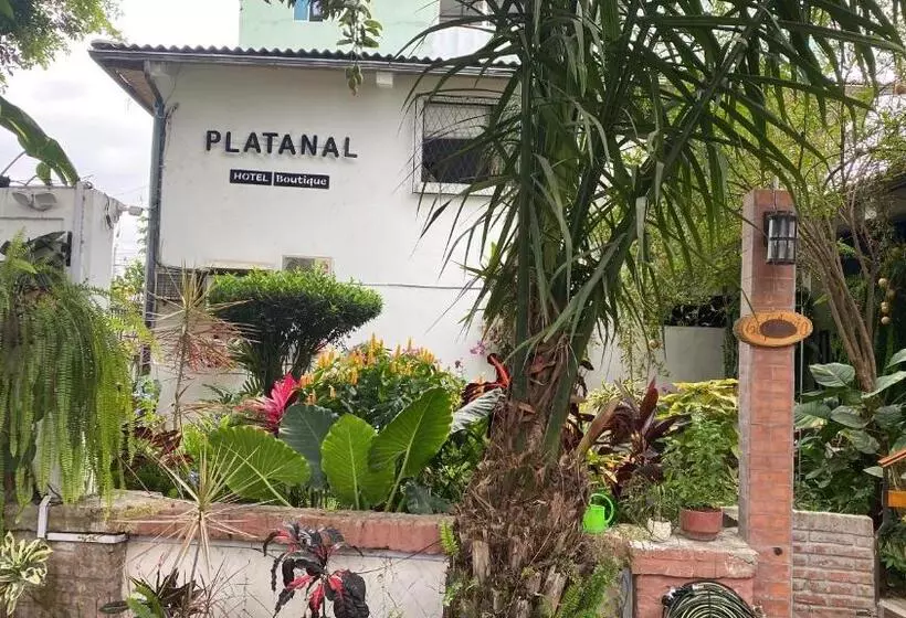 Retkeilymaja Boutique Platanal