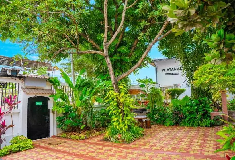 Retkeilymaja Boutique Platanal