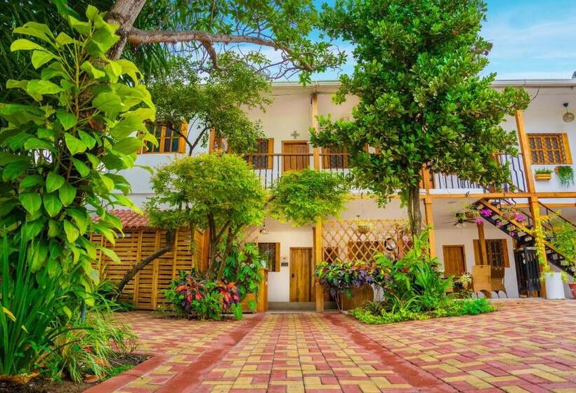 הוסטל Boutique Platanal