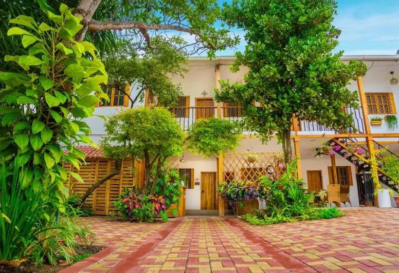 Retkeilymaja Boutique Platanal