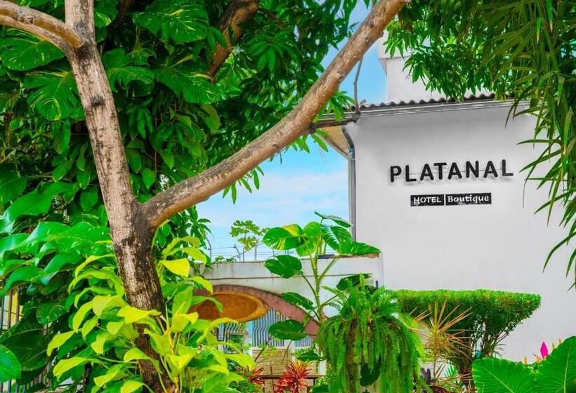 הוסטל Boutique Platanal