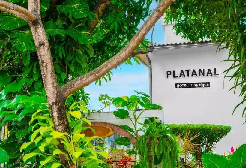 Retkeilymaja Boutique Platanal