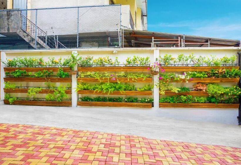 הוסטל Boutique Platanal