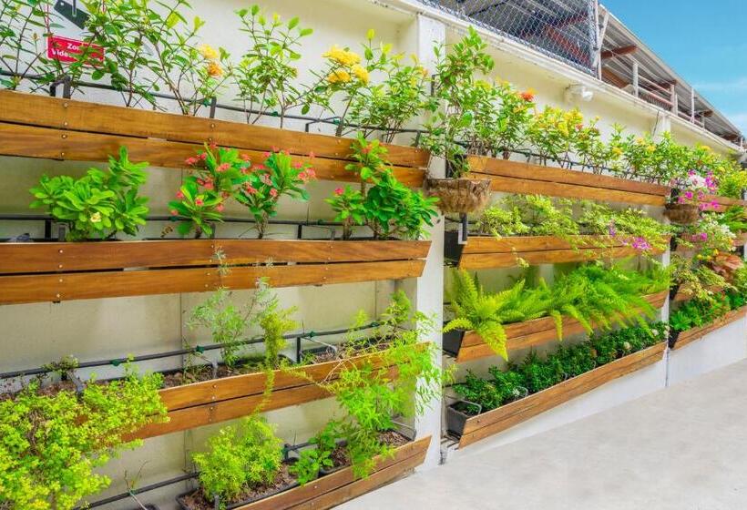 הוסטל Boutique Platanal