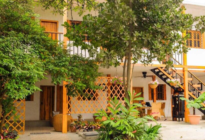 הוסטל Boutique Platanal