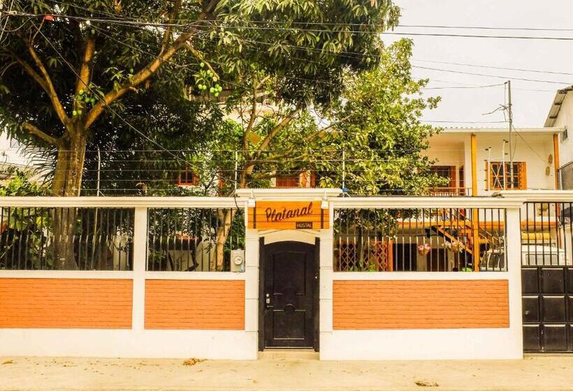 הוסטל Boutique Platanal