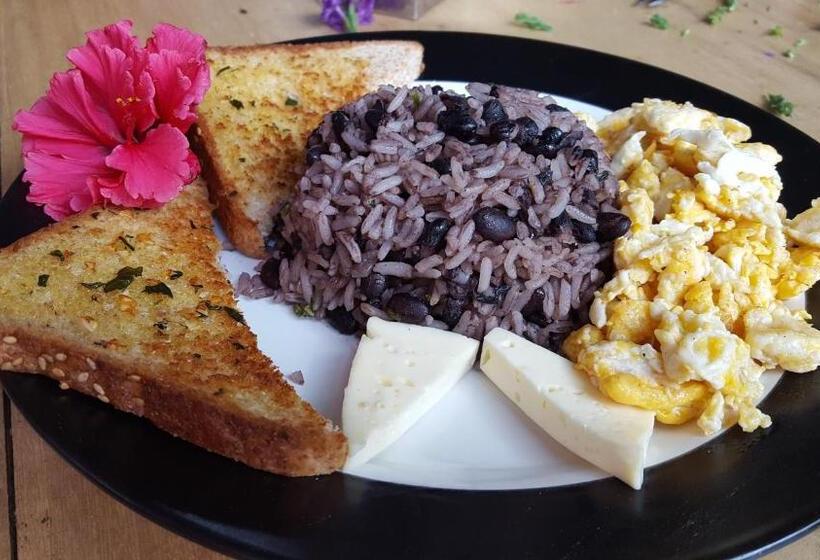 هاستل Outbox Inn