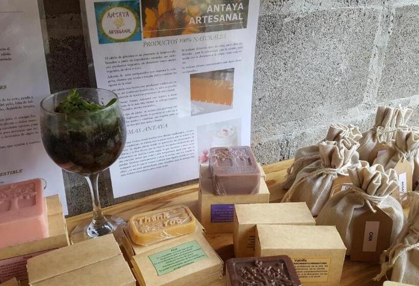 هاستل Outbox Inn