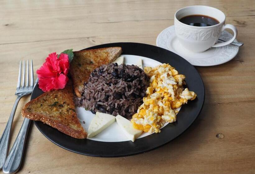 هاستل Outbox Inn