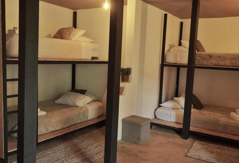 هاستل Outbox Inn