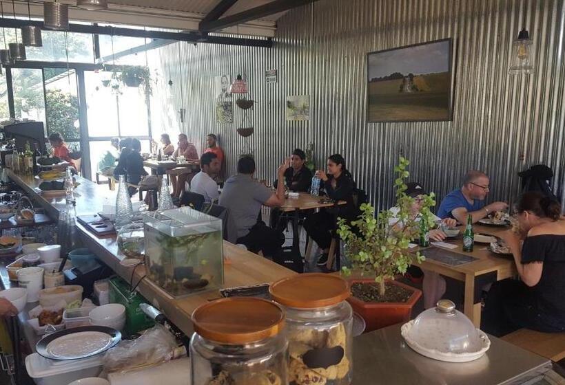 هاستل Outbox Inn