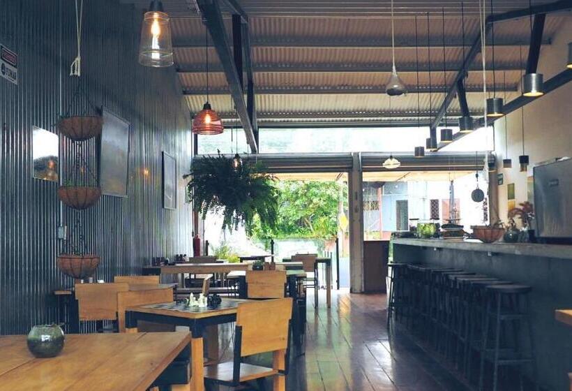 هاستل Outbox Inn